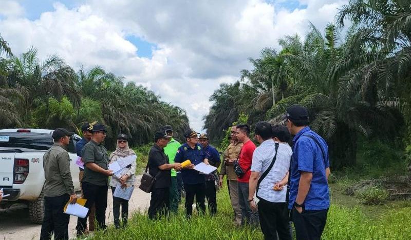 Menteri LHK Makin Disorot Gara-gara Belum Laksanakan Putusan MA Segel-Proses Hukum Kebun Sawit 1.200 Ha di TNTN: Penyelamatan Hutan Pencitraan?